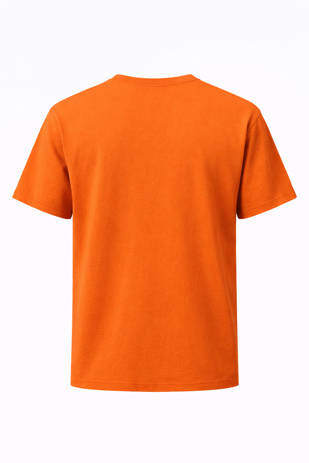 Solar Orange Light Regular Fit Tshirt